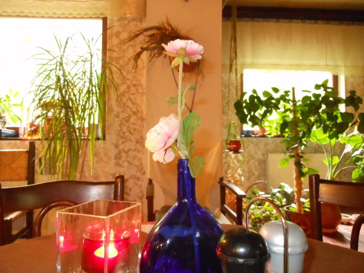 Гостевой дом Bistro-Pension La Teleferic Синая