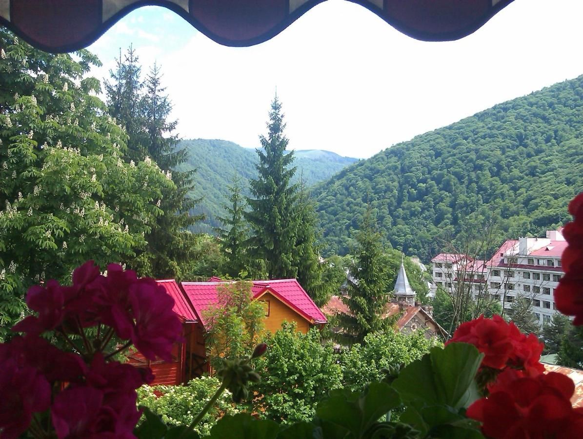 Гостевой дом Bistro-Pension La Teleferic Синая-30