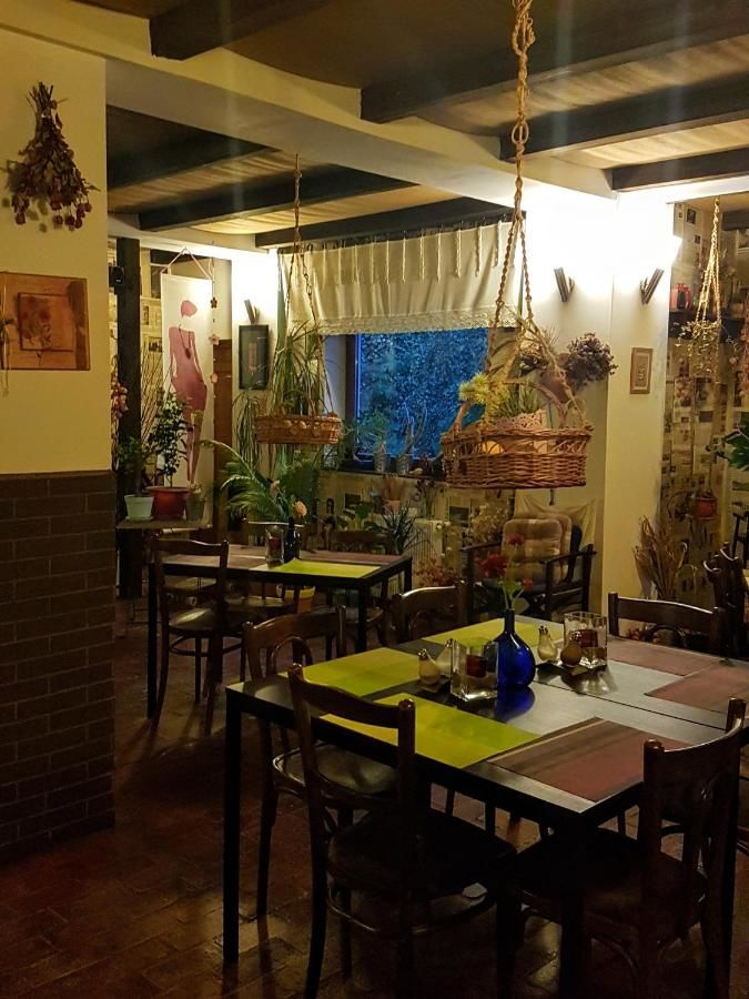 Гостевой дом Bistro-Pension La Teleferic Синая-11