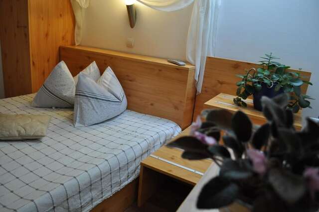 Гостевой дом Bistro-Pension La Teleferic Синая-64